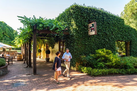 Yalumba Signature Tour - Accommodation Rockhampton 3