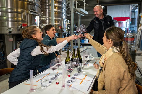 Winemaker Experience - Accommodation Rockhampton 0
