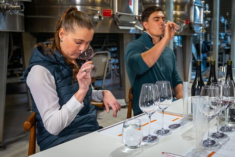 Winemaker Experience - Accommodation Rockhampton 1