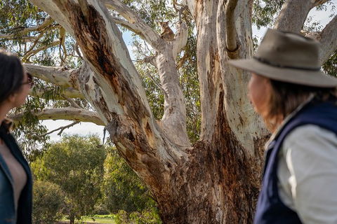 NEW TOUR - Kangaroo Island Road To Recovery Tour (1 Day/1 Night) - Accommodation Rockhampton 2