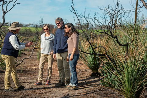 NEW TOUR - Kangaroo Island Road To Recovery Tour (1 Day/1 Night) - Accommodation Rockhampton 0