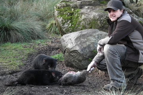 After Dark Tasmanian Devil Feeding Tour At Cradle Mountain - Accommodation Rockhampton 0