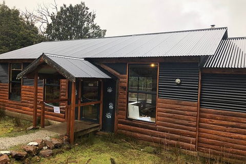 After Dark Tasmanian Devil Feeding Tour At Cradle Mountain - Accommodation Rockhampton 6