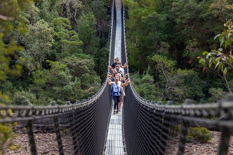 Tahune Airwalk Active Day Trip From Hobart Including Hastings Caves - Accommodation Rockhampton 0