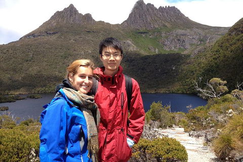 Shore Excursion To Cradle Mountain From Burnie ( Cruise Ship Favourite) - Accommodation Rockhampton 1