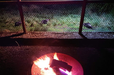 Sunset Experience - Accommodation Rockhampton 3