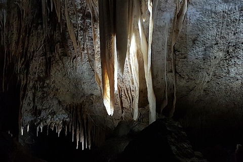 Shore Excursion: Coast, Caves And Wildlife Park - 8 Hour Tour - Accommodation Rockhampton 10