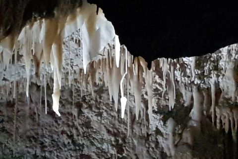 Shore Excursion: Coast, Caves And Wildlife Park - 8 Hour Tour - Accommodation Rockhampton 21