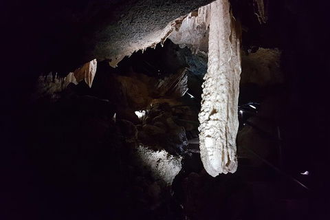 Shore Excursion: Coast, Caves And Wildlife Park - 8 Hour Tour - Accommodation Rockhampton 12