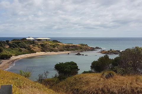 Shore Excursion: Coast, Caves And Wildlife Park - 8 Hour Tour - Accommodation Rockhampton 0