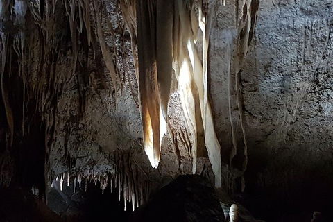 Shore Excursion: Coast, Caves And Wildlife Park - 8 Hour Tour - Accommodation Rockhampton 7