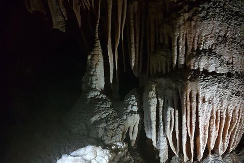 Shore Excursion: Coast, Caves And Wildlife Park - 8 Hour Tour - Accommodation Rockhampton 8