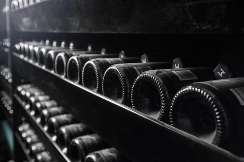 Private Winery Tour And Tasting In Moorilla And Mona Museum - Accommodation Rockhampton 3