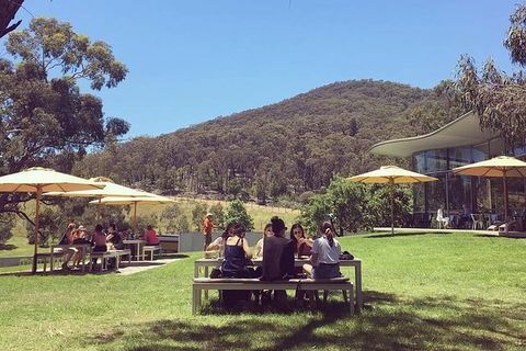 CHEVY CONVERTIBLE TOUR Per Group Up To 4 People. - Accommodation Rockhampton 3