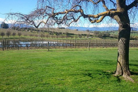 CHEVY CONVERTIBLE TOUR Per Group Up To 4 People. - Accommodation Rockhampton 2