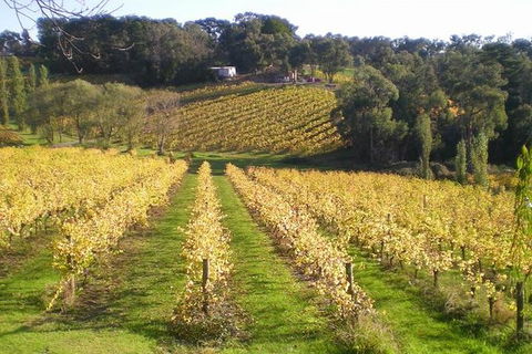 Macedon Ranges Winery Tour From Melbourne - Accommodation Rockhampton 1