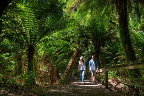 The Great Ocean Road 1 Day Private Sunset Tour - Accommodation Rockhampton 1