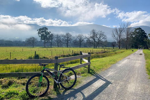 Aqueduct And Rail Trail Self-Guided Bike Tour In Warburton - Accommodation Rockhampton 5