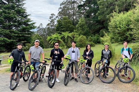 Aqueduct And Rail Trail Self-Guided Bike Tour In Warburton - Accommodation Rockhampton 0