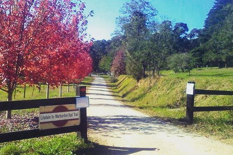Aqueduct And Rail Trail Self-Guided Bike Tour In Warburton - Accommodation Rockhampton 4