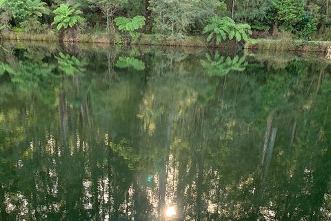 Hiking Tour To Aqueduct And Warburton Valley Lookout - Accommodation Rockhampton 2