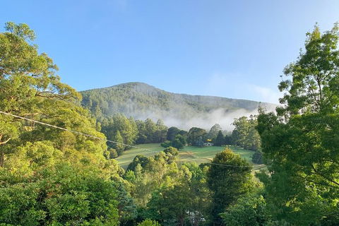 Hiking Tour To Aqueduct And Warburton Valley Lookout - Accommodation Rockhampton 0