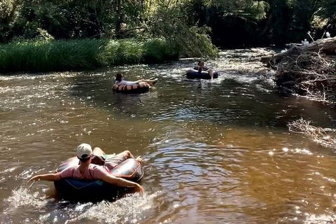 Watertube Experience In Yarra River - Accommodation Rockhampton 8
