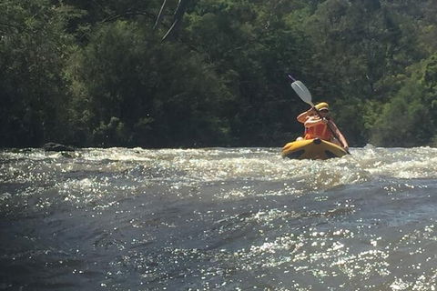 Yarra River Half-Day Rafting Experience - Accommodation Rockhampton 5