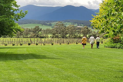 Yarra Valley Wine Tasting Day Tour From Melbourne - Accommodation Rockhampton 6