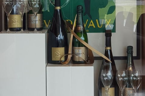 Yarra Valley Wine Tasting Day Tour From Melbourne - Accommodation Rockhampton 2