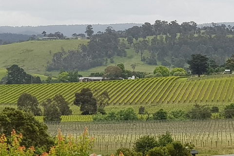 Yarra Valley Wine Tasting Day Tour From Melbourne - Accommodation Rockhampton 0