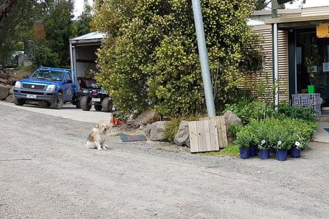 Yarra Valley Wineries And Rayners Orchard Tour From Melbourne - Accommodation Rockhampton 8