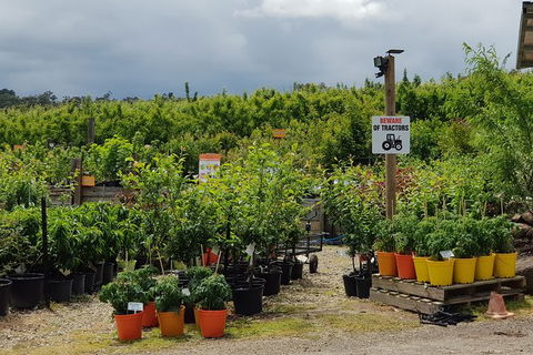 Yarra Valley Wineries And Rayners Orchard Tour From Melbourne - Accommodation Rockhampton 22
