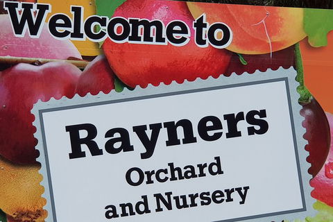 Yarra Valley Wineries And Rayners Orchard Tour From Melbourne - Accommodation Rockhampton 9
