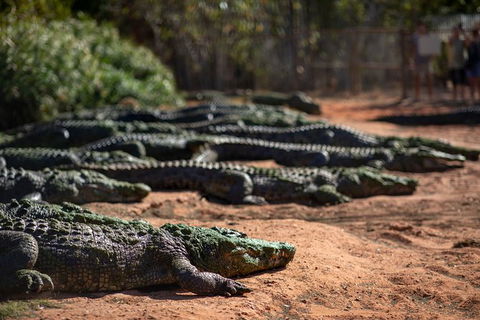 Malcolm Douglas Crocodile Park - Accommodation Rockhampton 8