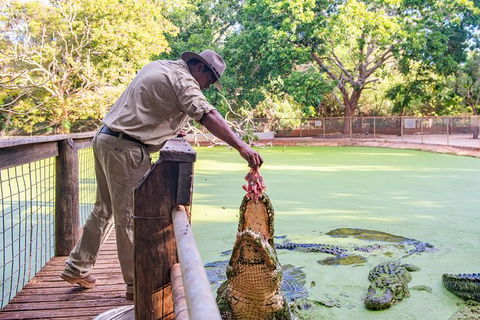 Malcolm Douglas Crocodile Park - Accommodation Rockhampton 3