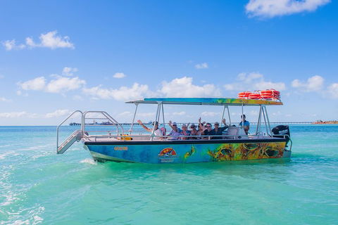 Dinosaur Adventure Tour - Accommodation Rockhampton 3