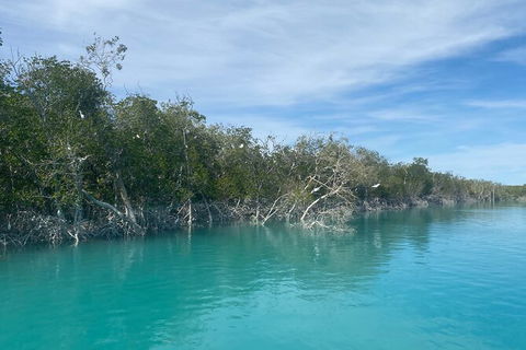 Dinosaur Adventure Tour - Accommodation Rockhampton 12