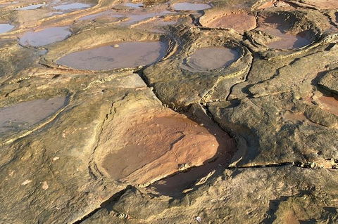 Dinosaur Adventure Tour - Accommodation Rockhampton 7
