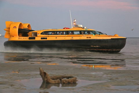 Prehistoric Cocktail Breakfast Hovercraft Tour - Accommodation Rockhampton 9