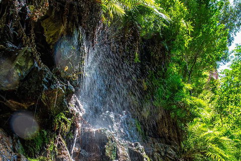 Secret Locations Tour - Accommodation Rockhampton 6