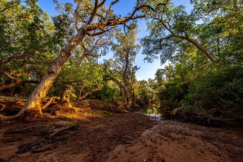 Secret Locations Tour - Accommodation Rockhampton 7