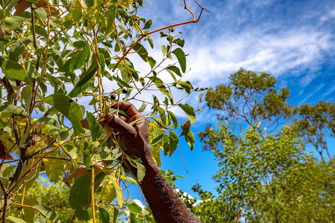 Mitchell Falls And Kimberley Coastal Camp (3night) - Accommodation Rockhampton 2