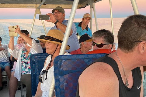 Scenic And Prehistoric Boat Tour - Accommodation Rockhampton 20