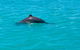 Scenic And Prehistoric Boat Tour - thumb 23