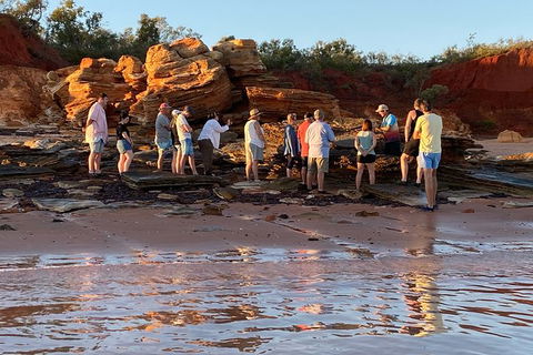 Scenic And Prehistoric Boat Tour - Accommodation Rockhampton 5
