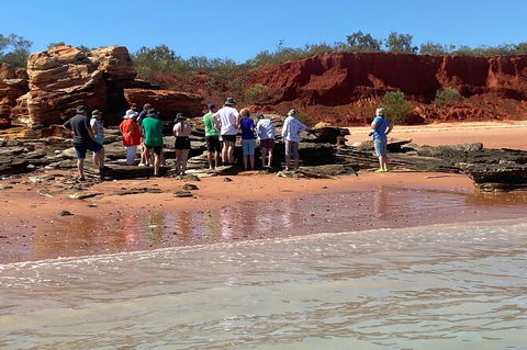 Scenic And Prehistoric Boat Tour - Accommodation Rockhampton 27