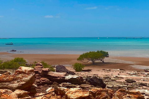 Scenic And Prehistoric Boat Tour - Accommodation Rockhampton 8