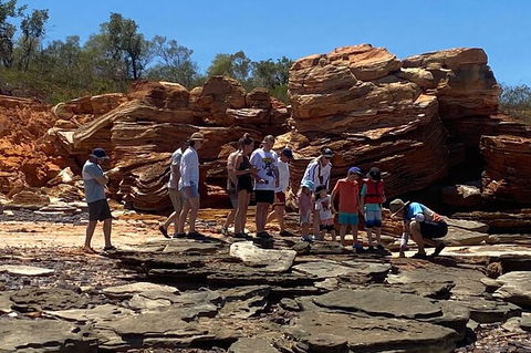 Scenic And Prehistoric Boat Tour - Accommodation Rockhampton 12