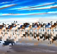 Broome Pre-sunset Camel Tour 30 minutes - Accommodation Rockhampton